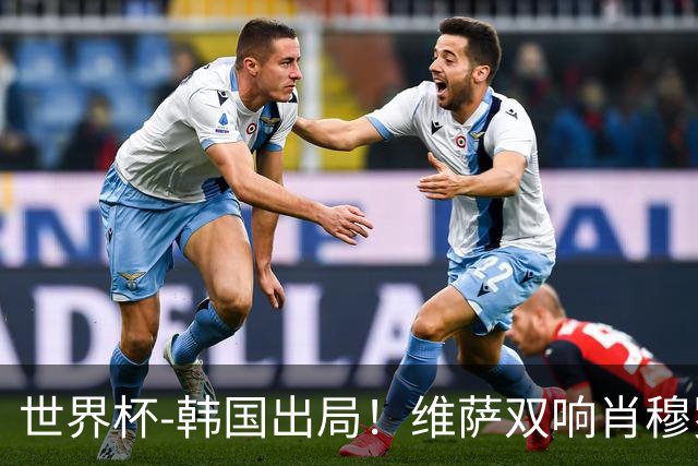 世界杯-韩国出局！维萨双响肖穆罗多夫神仙球 民主刚果3-1乌兹