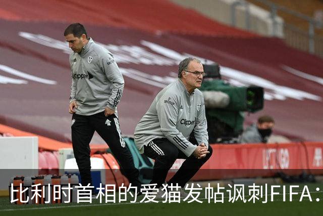 比利时首相的爱猫发帖讽刺FIFA：“红牌？”我照样继续踢！